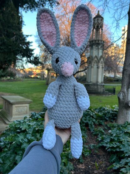Bilby