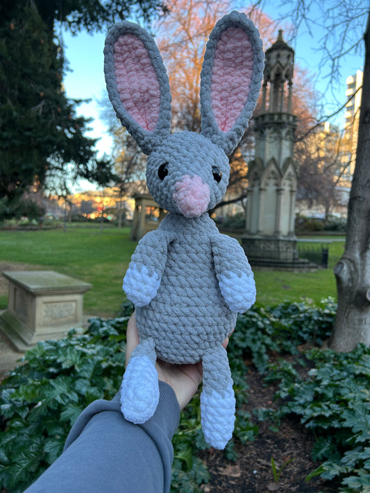 Bilby