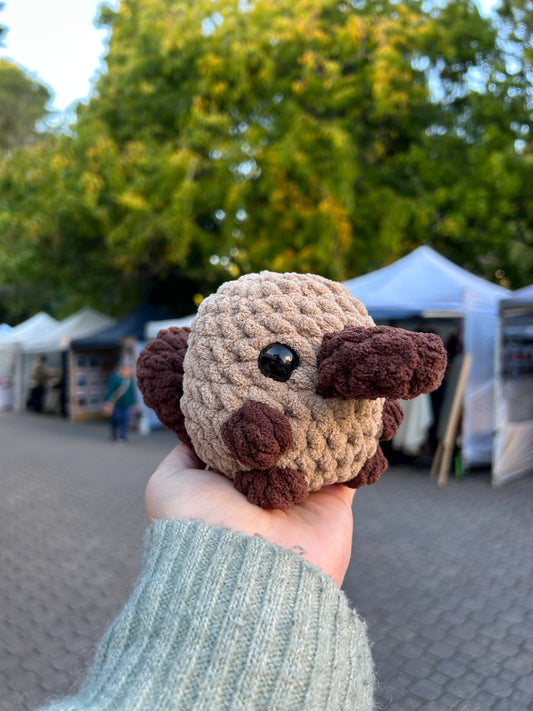 Platypus