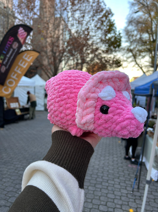 Triceratops