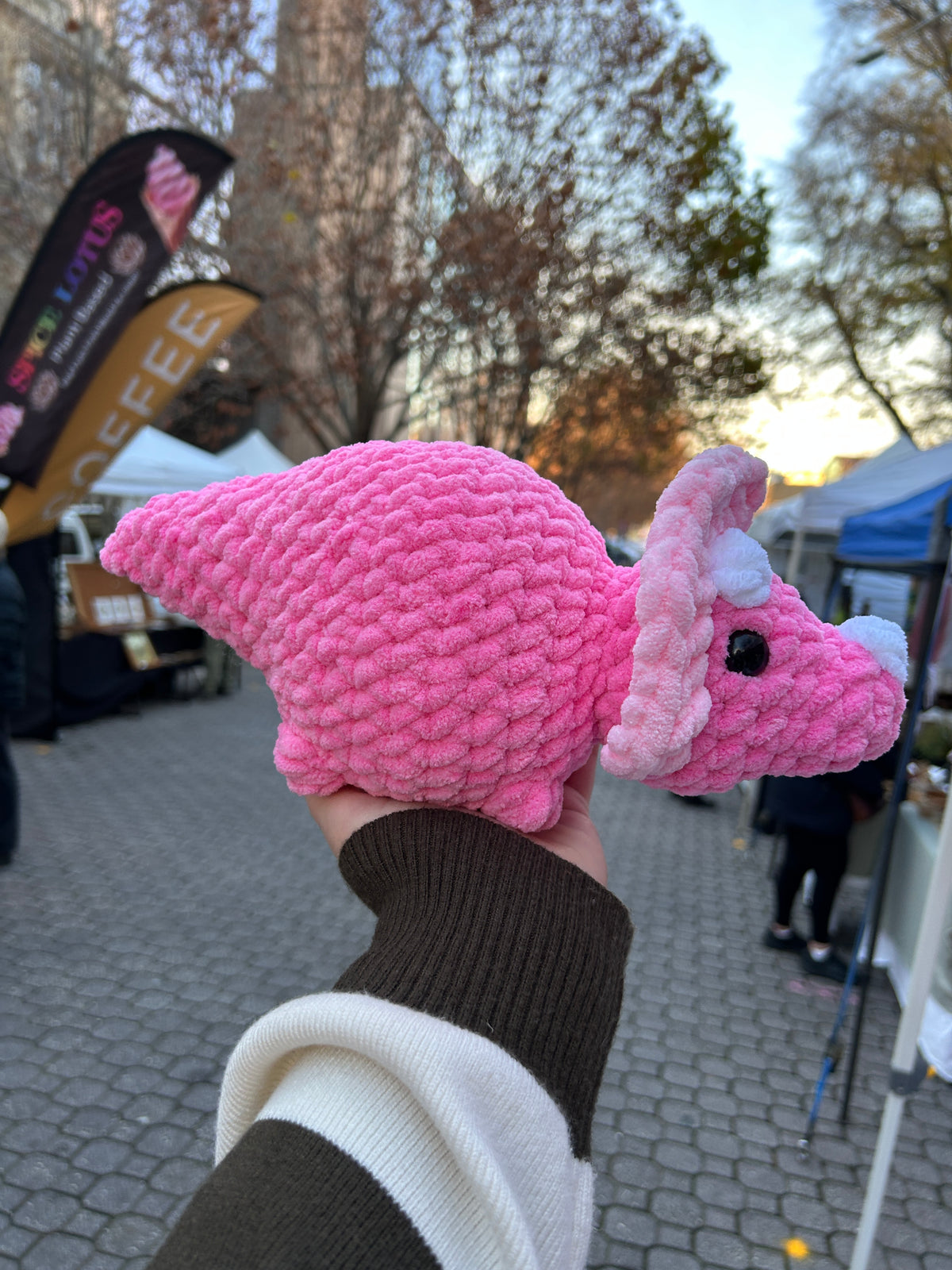 Triceratops
