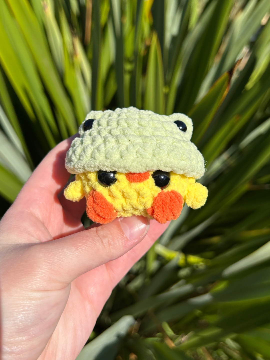 Chicks in Animal Hats