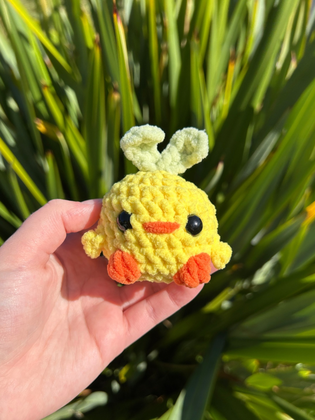 Chicks in Animal Hats