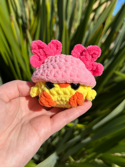 Chicks in Animal Hats